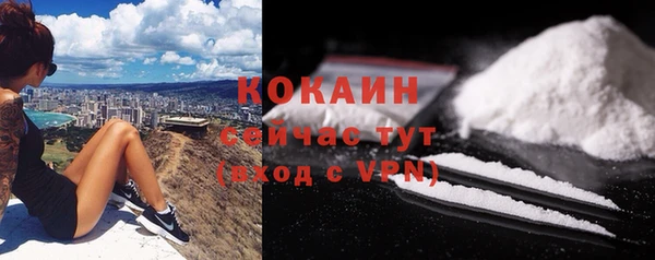 твердый Михайловка