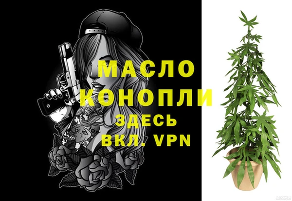 шишки Медвежьегорск