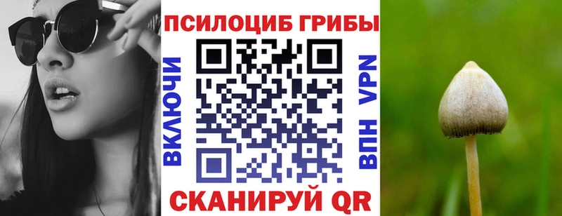 Галлюциногенные грибы Psilocybe  Кингисепп 